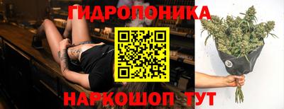 мдпв Гай