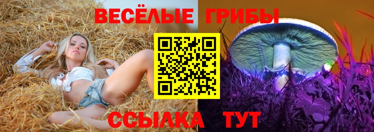 Гуково  Галлюциногенные грибы Psilocybe  Вход с VPN 