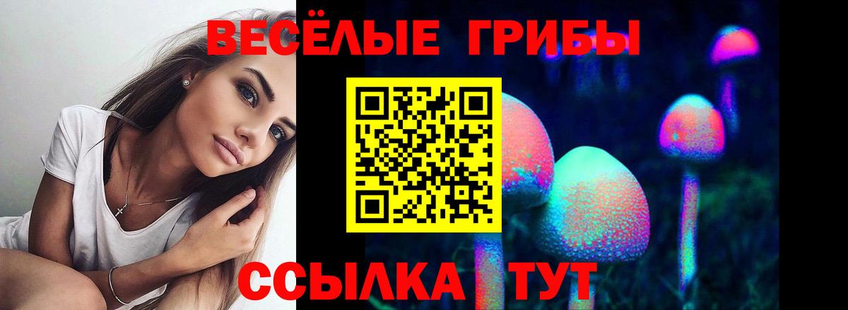 Псилоцибиновые грибы Psilocybe Гуково